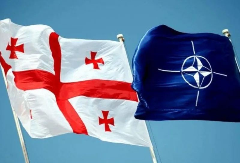 Gürcüstan NATO-nu ittiham edib