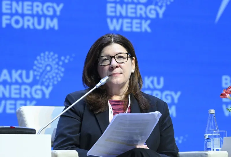 Mərkəz COP29 ilə bağlı gözləntilərini açıqlayıb