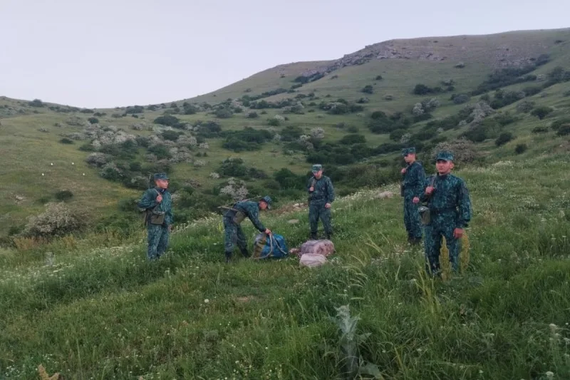 İrandan Azərbaycana 28 kq narkotik keçirilməsinin qarşısı alınıb - FOTO