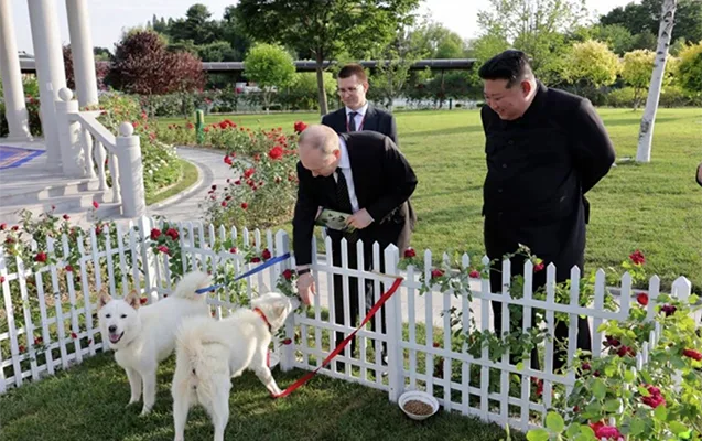 Kim Çen İnin Putinə verdiyi itlər bu anlama gəlir