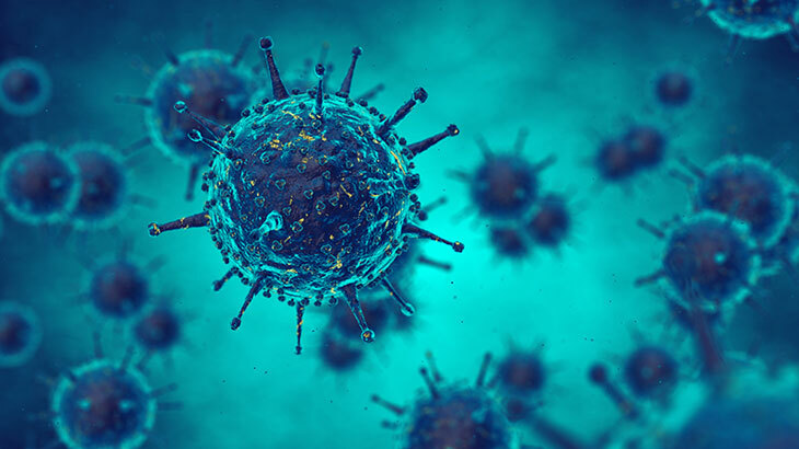Bu bakteriya insanı iki gündə “yeyir”: Virusun ölkəmizdə yayılma təhlükəsi var?