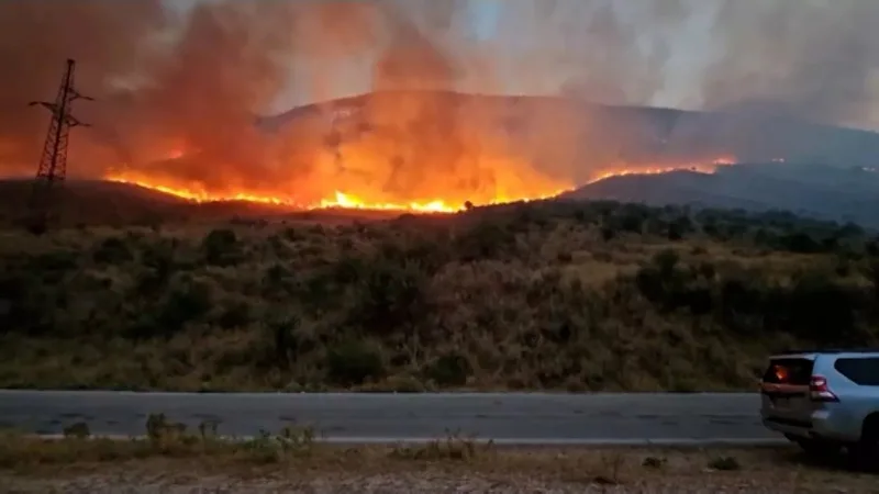 Albaniyada meşə yanğınları nəzarət altına alınıb
