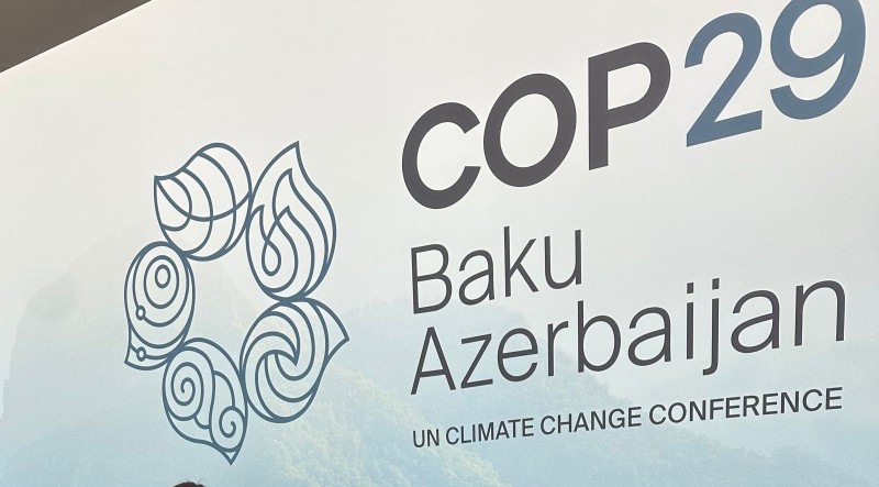 COP29 viza müraciət sistemi aktivləşdirilib