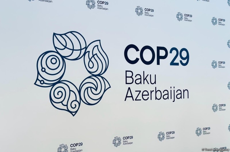 “COP29 QHT Koalisiyası” yaradılıb