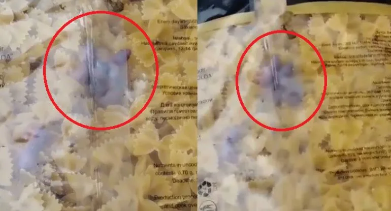 "Azərsun" şirkətinə məxsus "Saville" makaronlarının içindən diri siçan balaları çıxdı - VİDEO