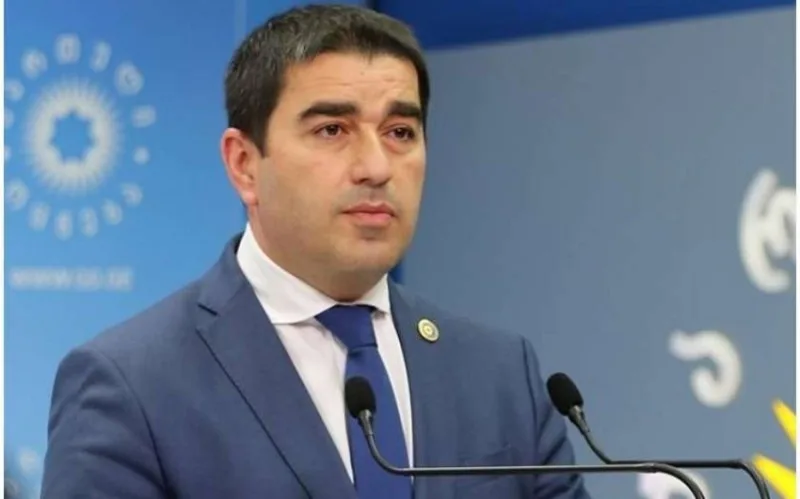 Prezident Saakaşvilini əfv etməyi planlaşdırır - Papuaşvili