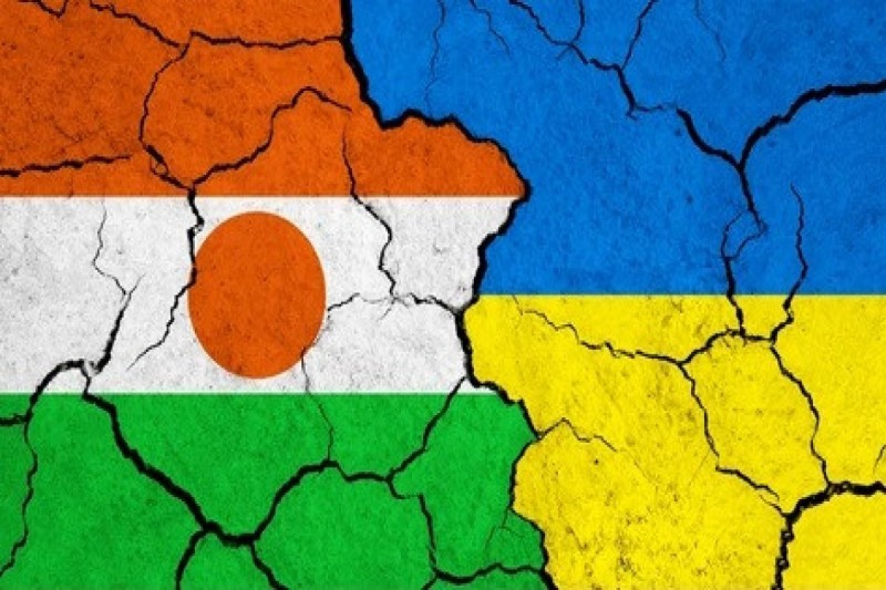 Ukraynadan Nigerə: Bu qərar təəssüf doğurur