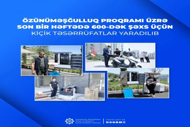 Son bir həftədə 600-dək şəxs üçün kiçik təsərrüfatlar yaradılıb