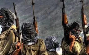 Türkiyə ordusu İraqda iki PKK terrorçusunu öldürüb