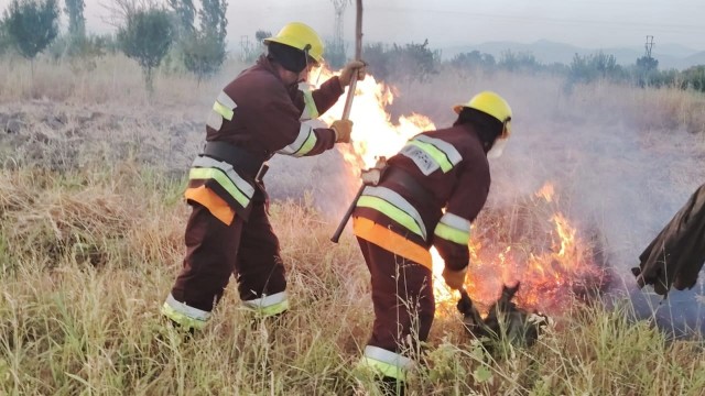 Naxçıvanda yenidən yanğınlar oldu