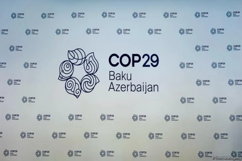 COP 29-un keçirilməsinə ayrılan vəsaitin auditi aparılacaq
