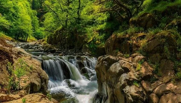 İstirahət günlərində parklara getmək istəyənlərin NƏZƏRİNƏ!