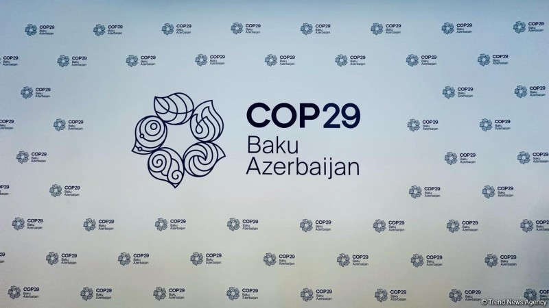 COP29-da imzalanacaq sənədlərdən sonra… - Ekspertdən AÇIQLAMA