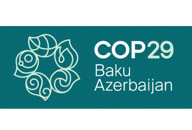 COP29 könüllüləri təmizlik aksiyasında iştirak ediblər