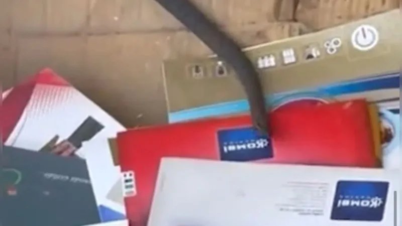 Bakının mərkəzində peyda olan ilanla bağlı rəsmi açıqlama