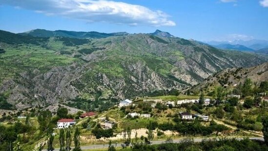 Laçının Qorçu kəndində 366 mindən çox ağac əkiləcək
