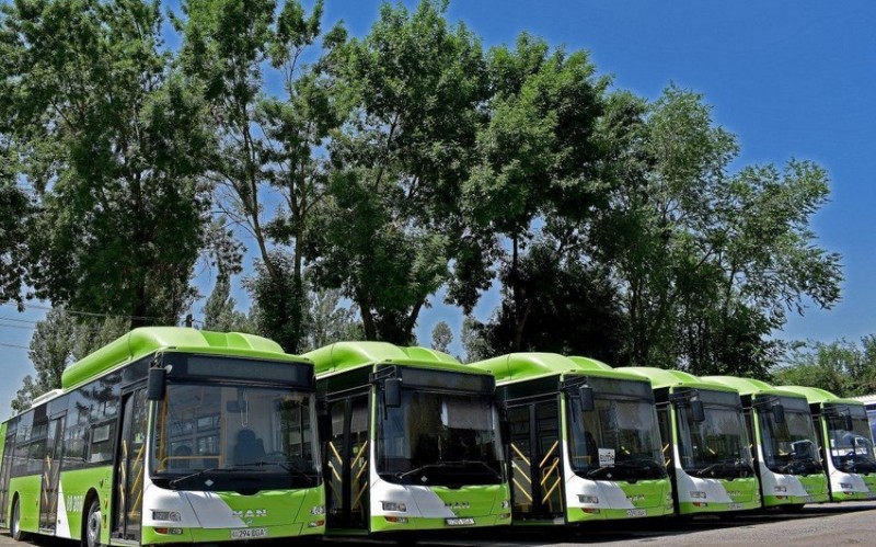 Avtobus parkının 50 %-i Yaşıl avtobuslarla təchiz olunub