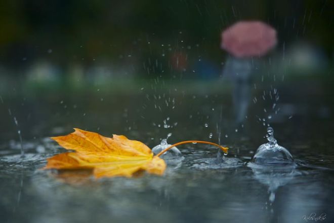 Oktyabr ayı hava şəraiti əsasən yağmurlu keçib