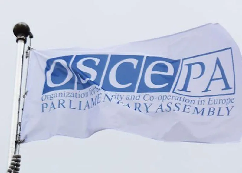ATƏT PA missiyası Gürcüstandakı seçkilər barədə açıqlama yaydı