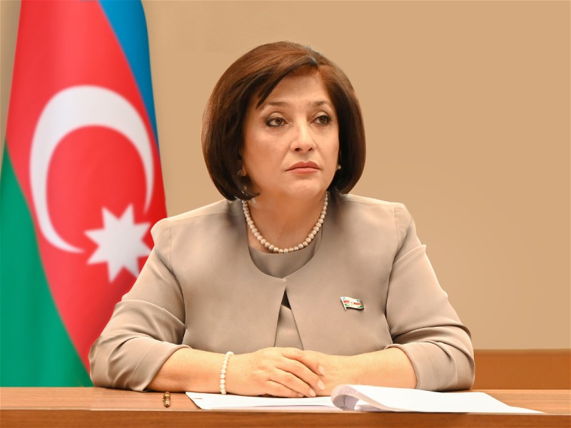 Sahibə Qafarova: Türkiyə ilə birgə layihələr regionda sülhə və sabitliyə xidmət edir