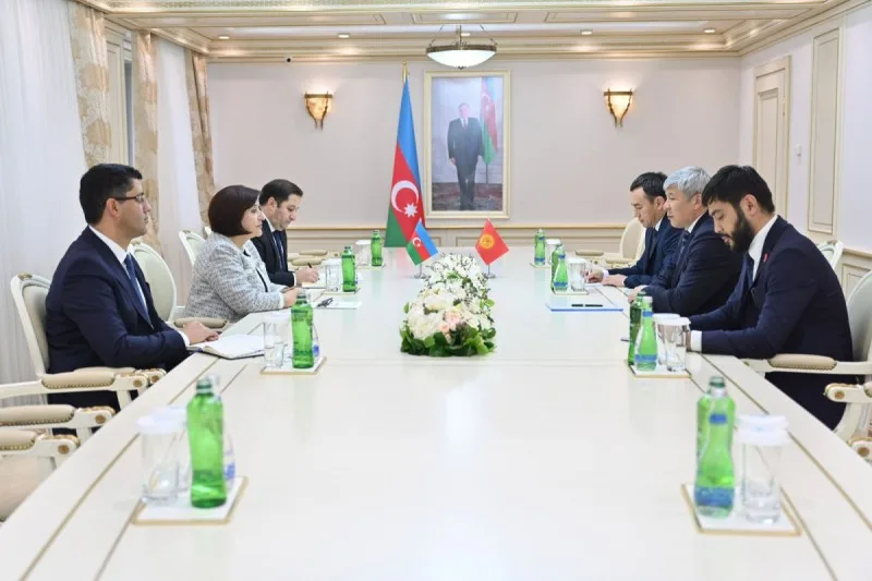 Sahibə Qafarova Qırğızıstanın Azərbaycandakı səfiri ilə görüşdü
