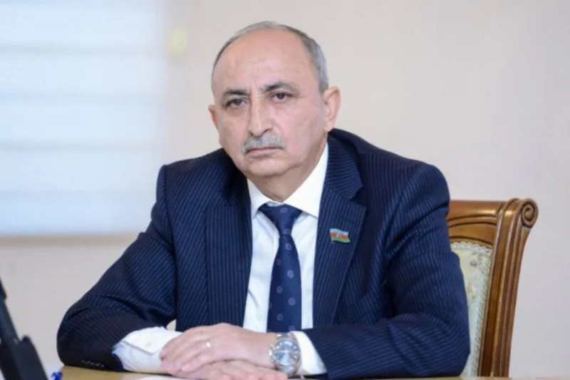 600 qəbiristanlıqla bağlı tədqiqat başa çatıb - Əziz Ələkbərli