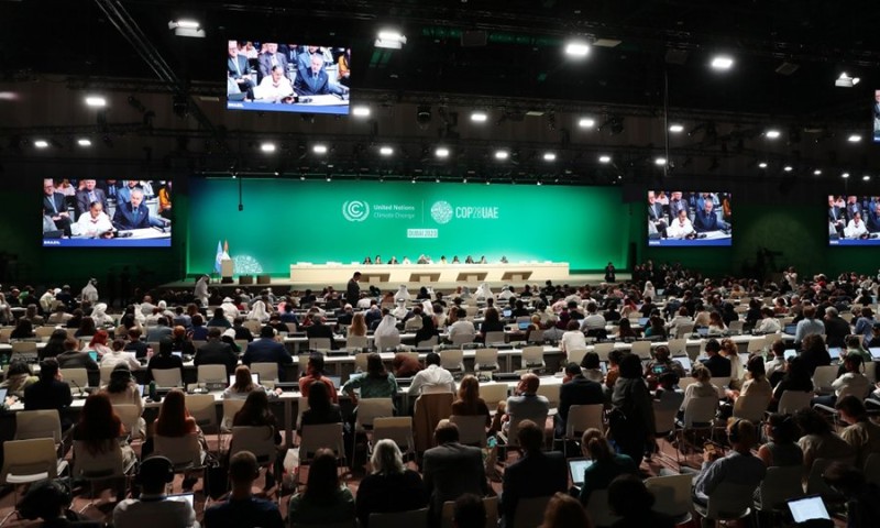 BMT nümayəndəsi: Bakıda keçirilən COP29 maliyyə polisi də adlandırılır