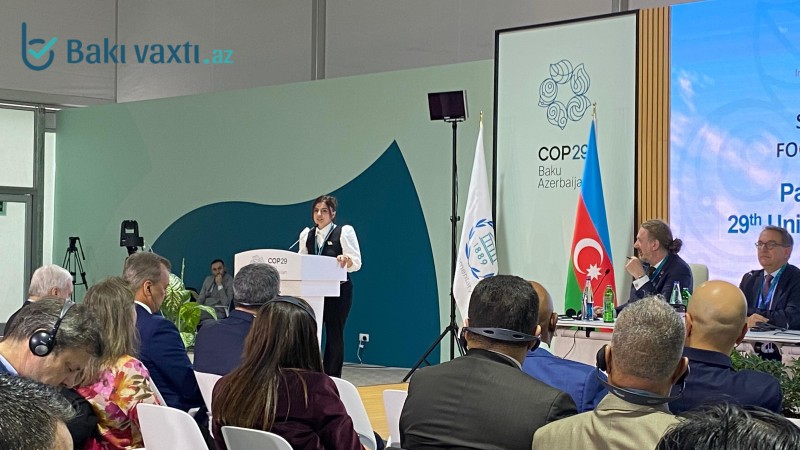 COP29: Parlament Görüşündə iqlim dəyişikliyinin sağlamlığa təsiri müzakirə edilib 