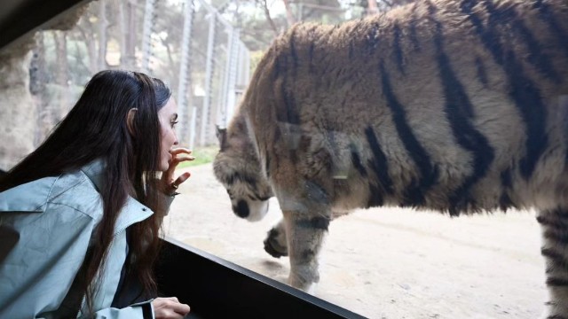 Leyla Əliyeva Bakı Zooloji Parkında - FOTOLAR