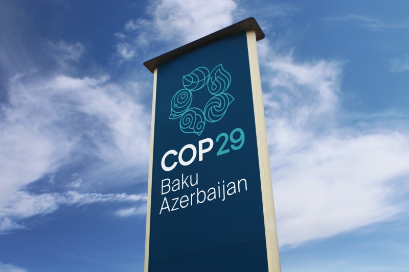 COP29-da nüvə enerjisi əleyhinə aksiya keçirilib