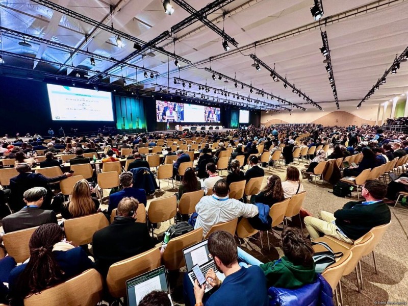 COP29-da Azərbaycana minnətdarlıq ifadə olunan qətnamə qəbul edilib