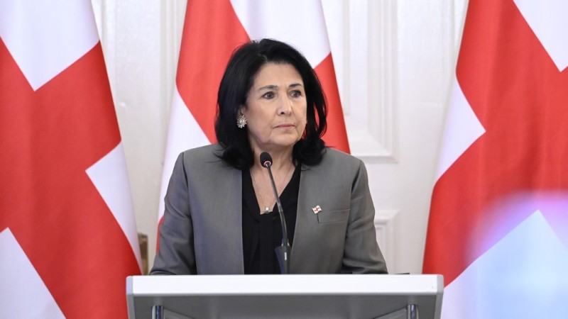 Gürcüstan prezidentinə sığınacaq verə bilərik - Litva