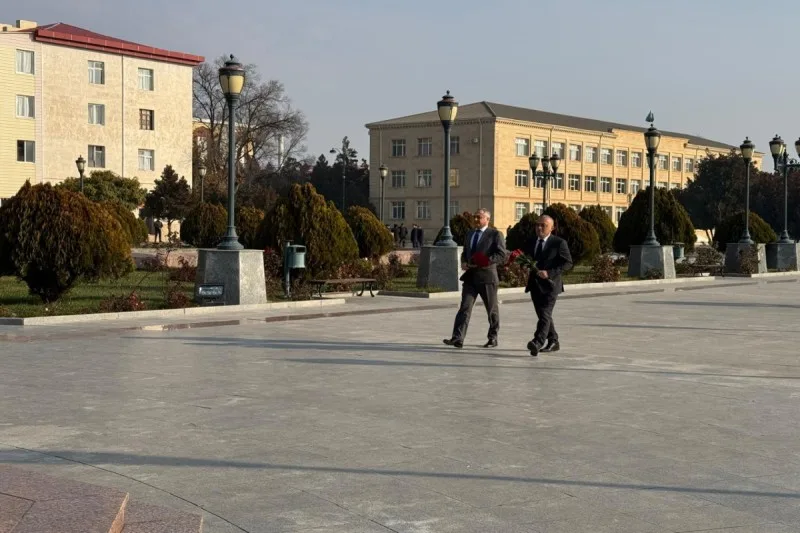 Zaur Mikayılov Naxçıvana GETDİ