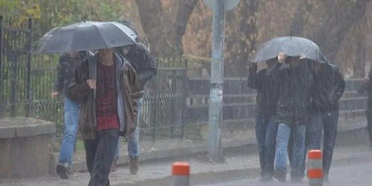 Səhər çiskin, duman, axşam yağış - GÜNÜN HAVASI