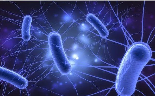 Yeni pandemiya? - Metapnevmovirus epidemiyası qeydə alındı
