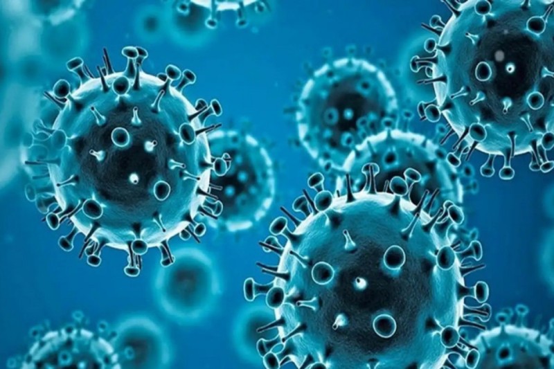 Metapnevmovirus infeksiyası Qırğızıstana da ÇATDI