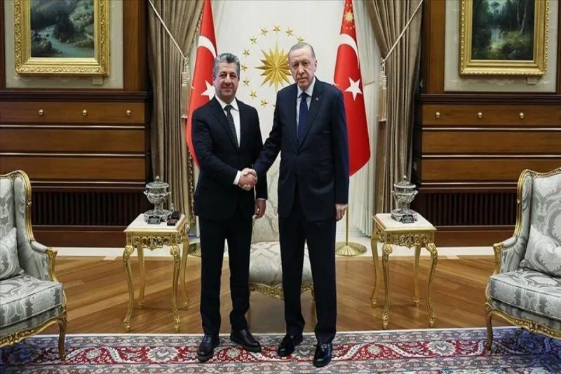 Ərdoğan Bərzanini qəbul edib
