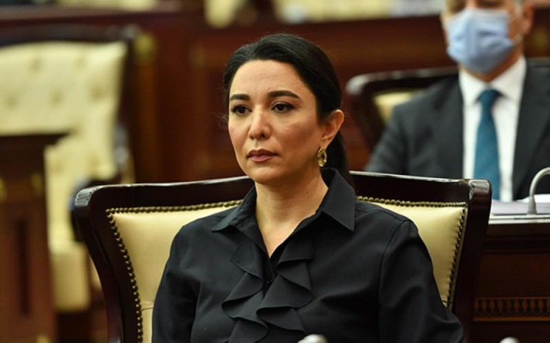 Ombudsmandan bələdiyyə seçkiləri ilə bağlı AÇIQLAMA