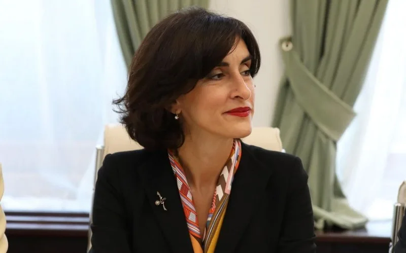 Gürcüstan XİN başçısı Ermənistana səfər edəcək