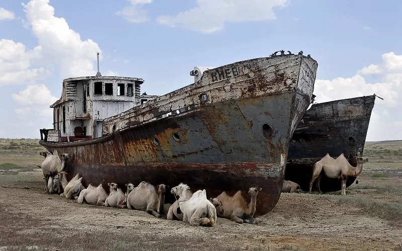 Dünyanı yeni ekoloji fəlakət gözləyir - XƏBƏRDARLIQ