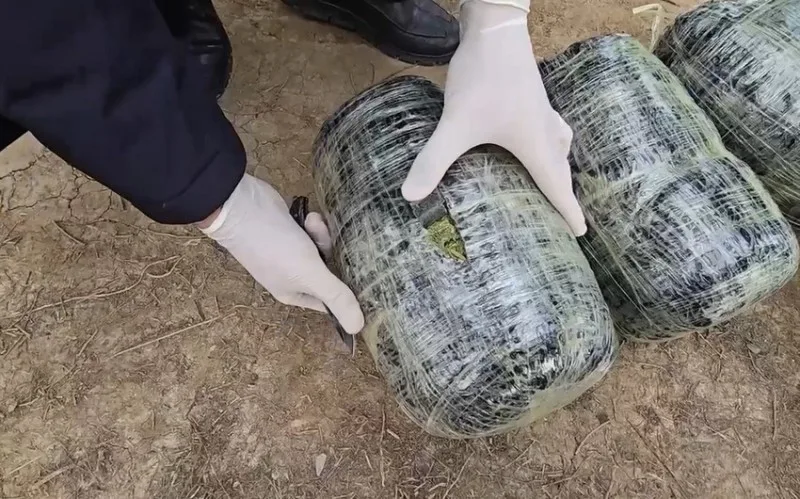 Ağcabədidə əməliyyat - 10 kiloqram narkotik götürüldü