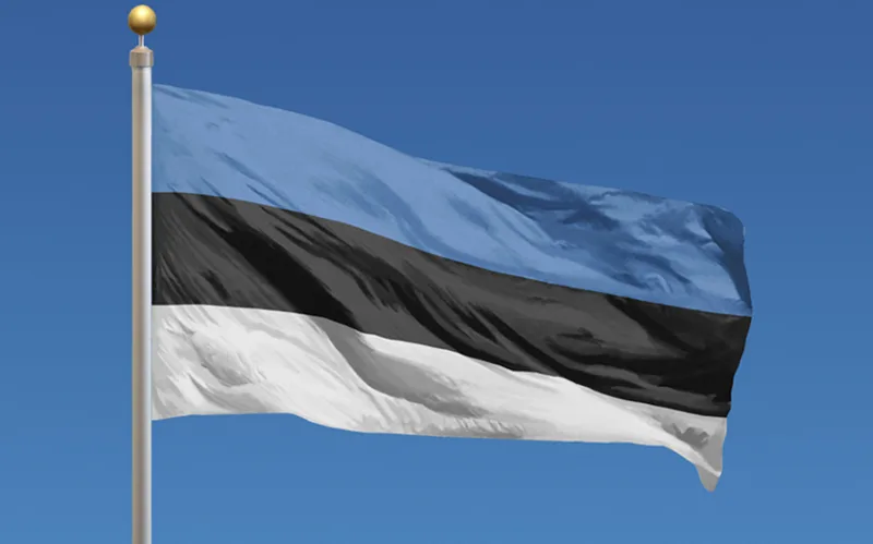 Estoniya bəzi gürcüstanlı rəsmilərin ölkəyə girişinə qadağa qoydu