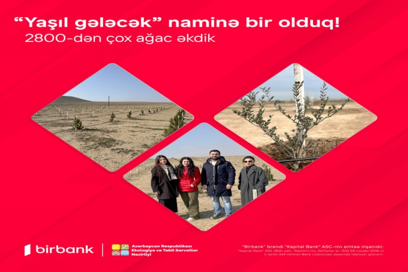 Birbank-lılar “Yaşıl gələcək” naminə 2800-dən çox ağac əkiblər