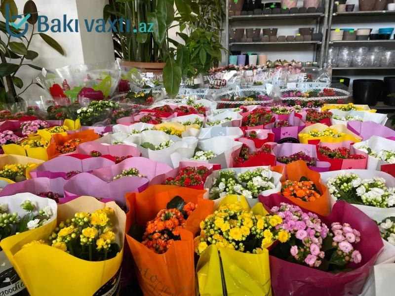 8 Mart ərəfəsində gül gülü çağırır: Baha da olsa almalıyıq… - REPORTAJ