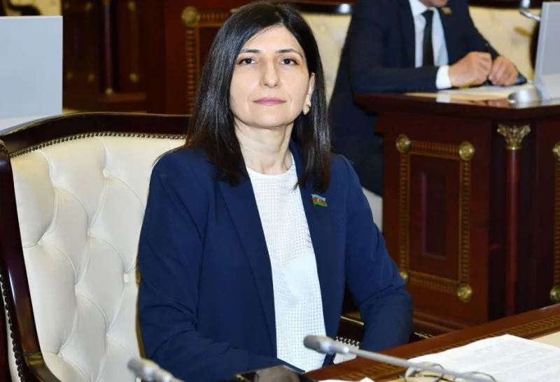 Turizm bölgələrinin investisiya xəritəsinin hazırlanması təklif edildi