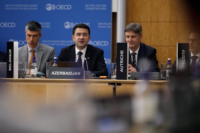 Azərbaycan OECD-nin İnkişafa Yardım Komitəsinin iclasında iştirak edib 