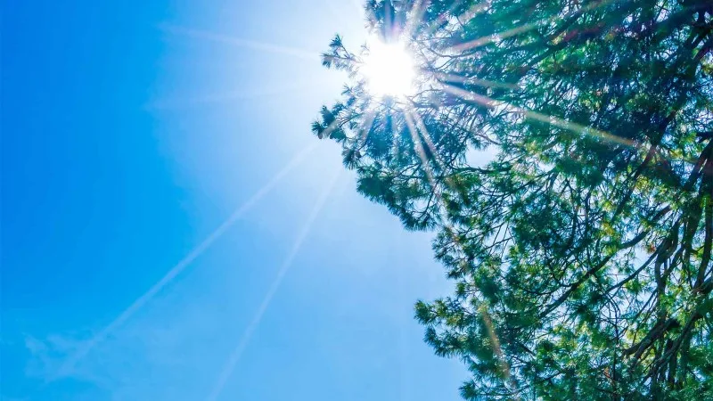 Sabah havanın temperaturu 26 dərəcəyə çatacaq - PROQNOZ