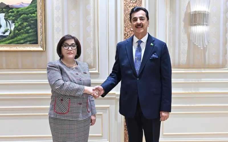 Sahibə Qafarova Seyid Yusuf Rza Gilani ilə görüşüb