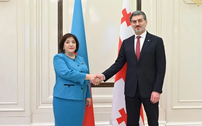Kavelaşvili Sahibə Qafarova ilə görüşüb