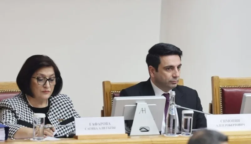 Simonyan Qafarova ilə görüşündən danışdı